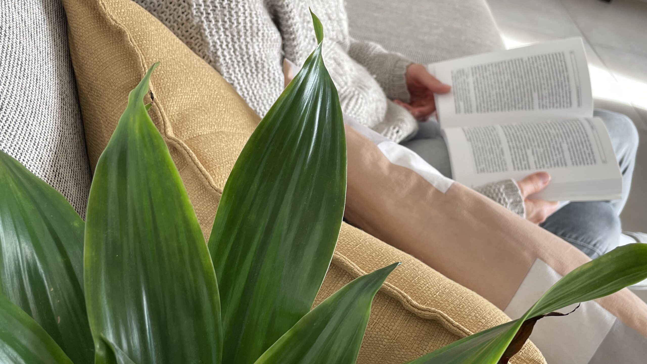 décoration végétale bien être chez soi