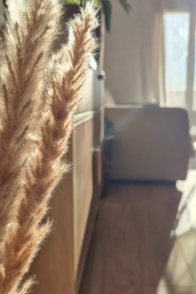 Salon décoré dans une ambiance naturelle par Décor & Moi, décoratrice d’intérieur et extérieur à Toulon et alentours, intervenant dans le Var.