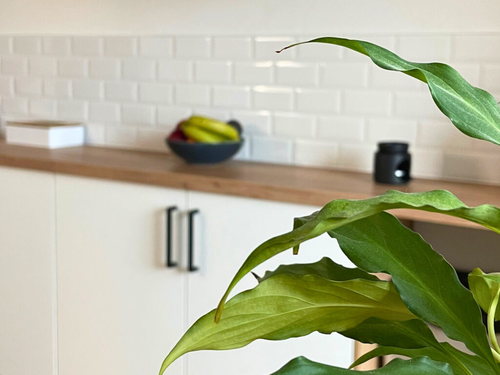 Cuisine carreaux de métro suite à une rénovation et optimisation d'espace avec végétal