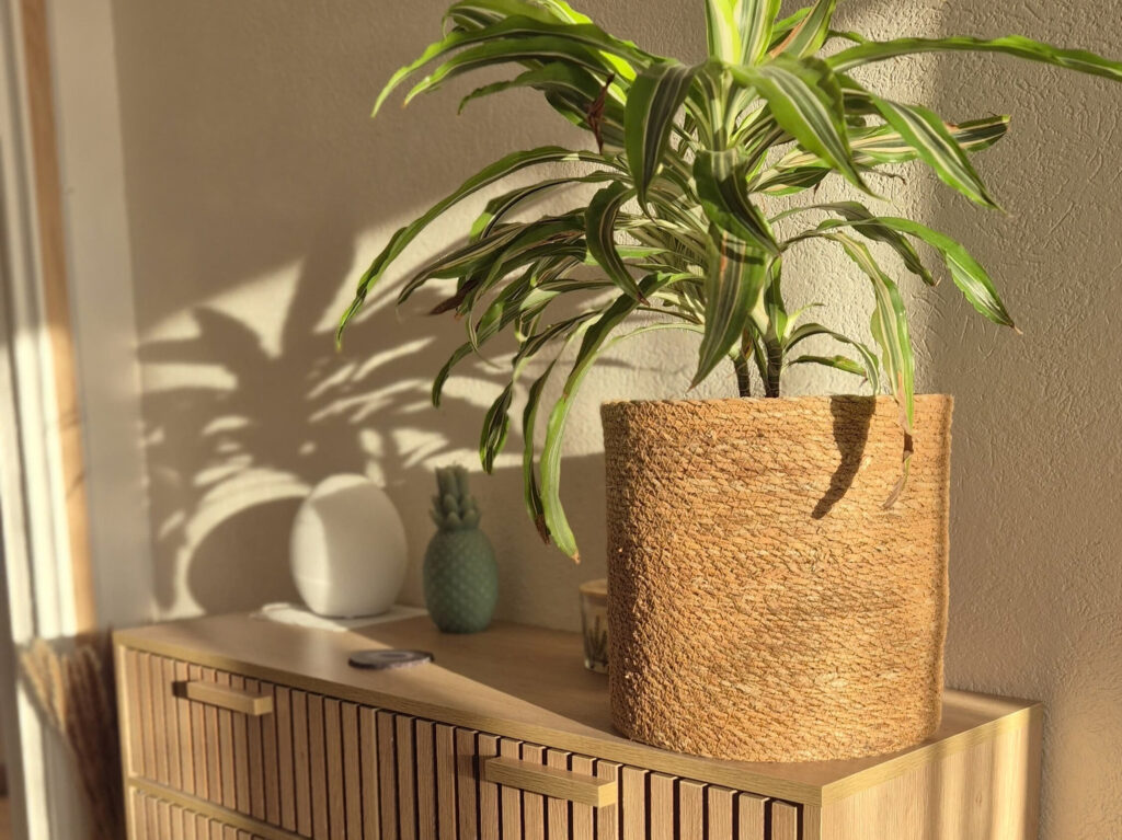 ambiance bohème chaleureuse salon plante bien être chez soi décoratrice Var