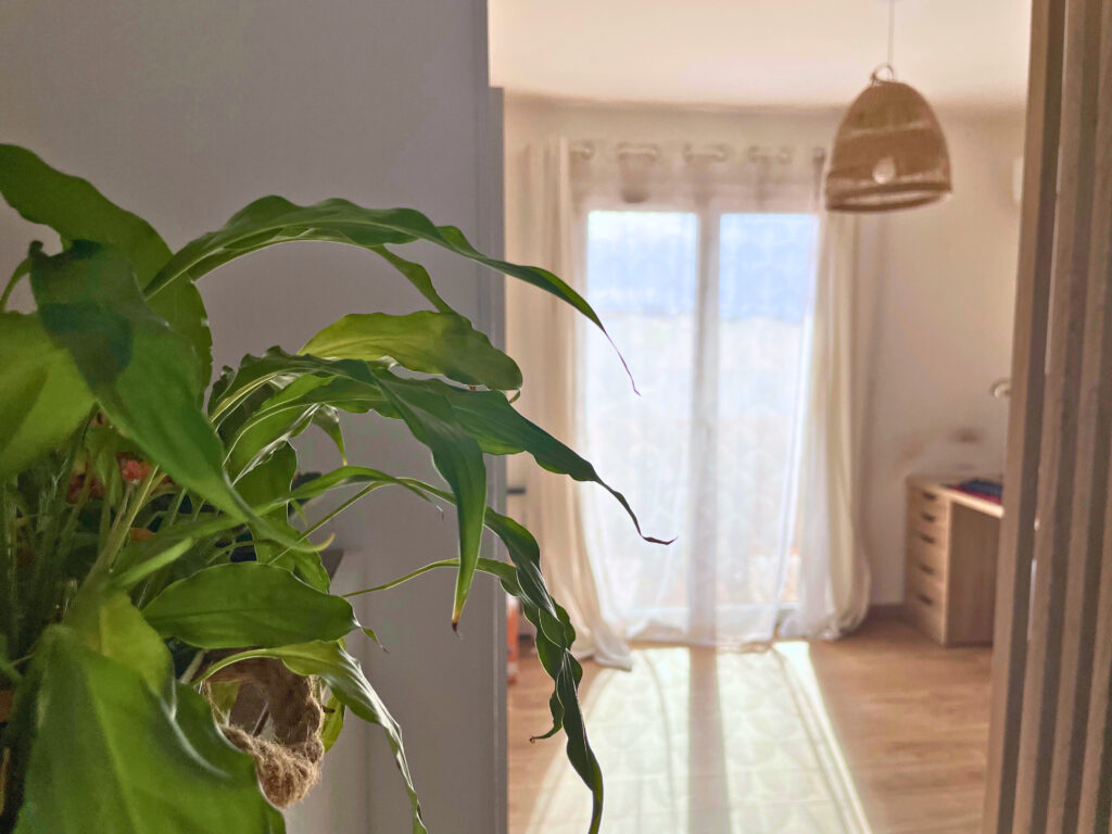 Projet de rénovation et décoration d’un appartement T3 à Toulon