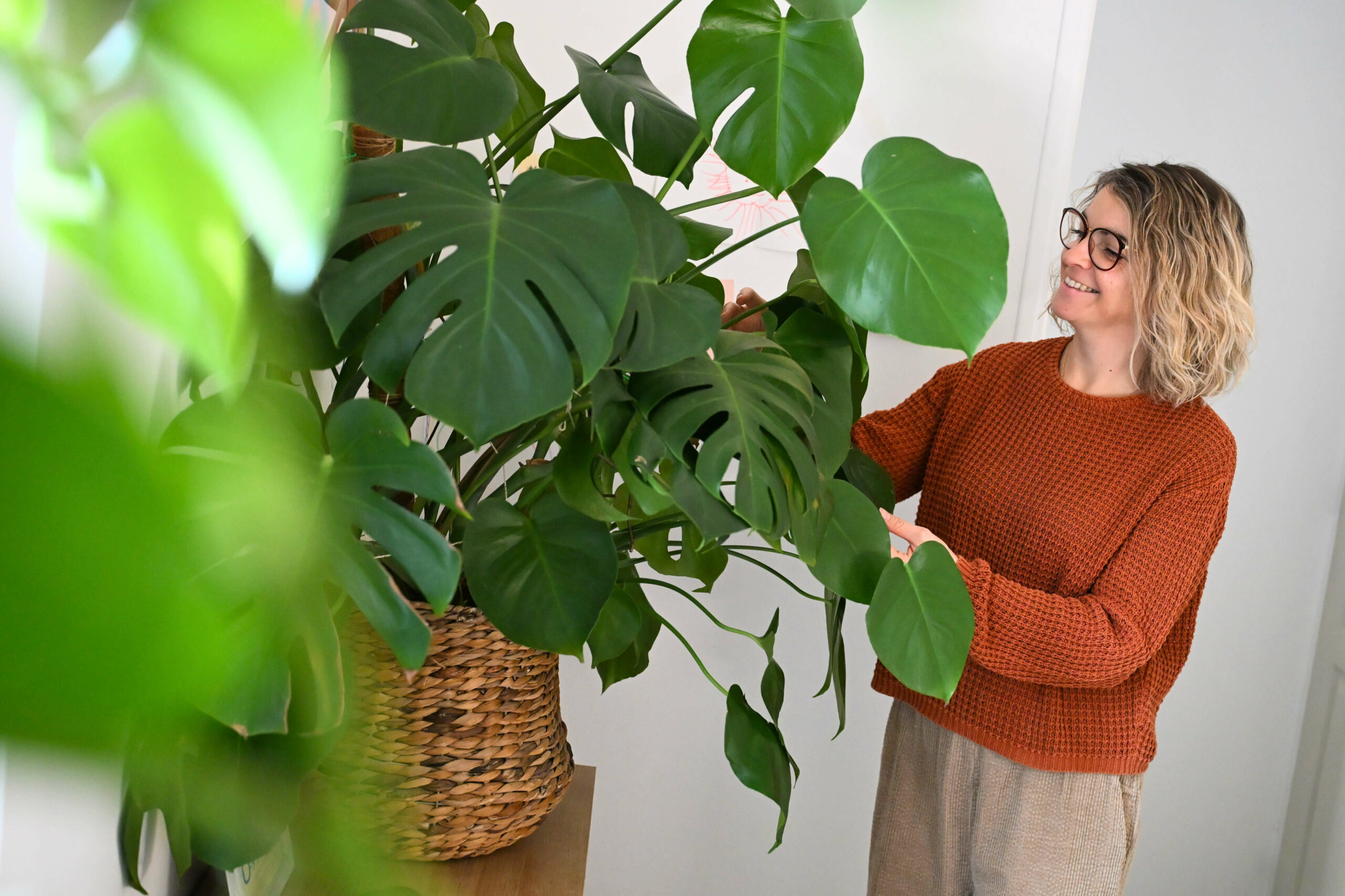 Décoration végétale, bien être, décoration naturelle